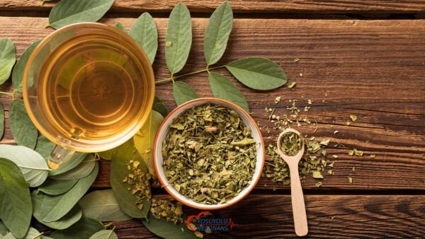 Detoks Nedir? Ne Değildir?