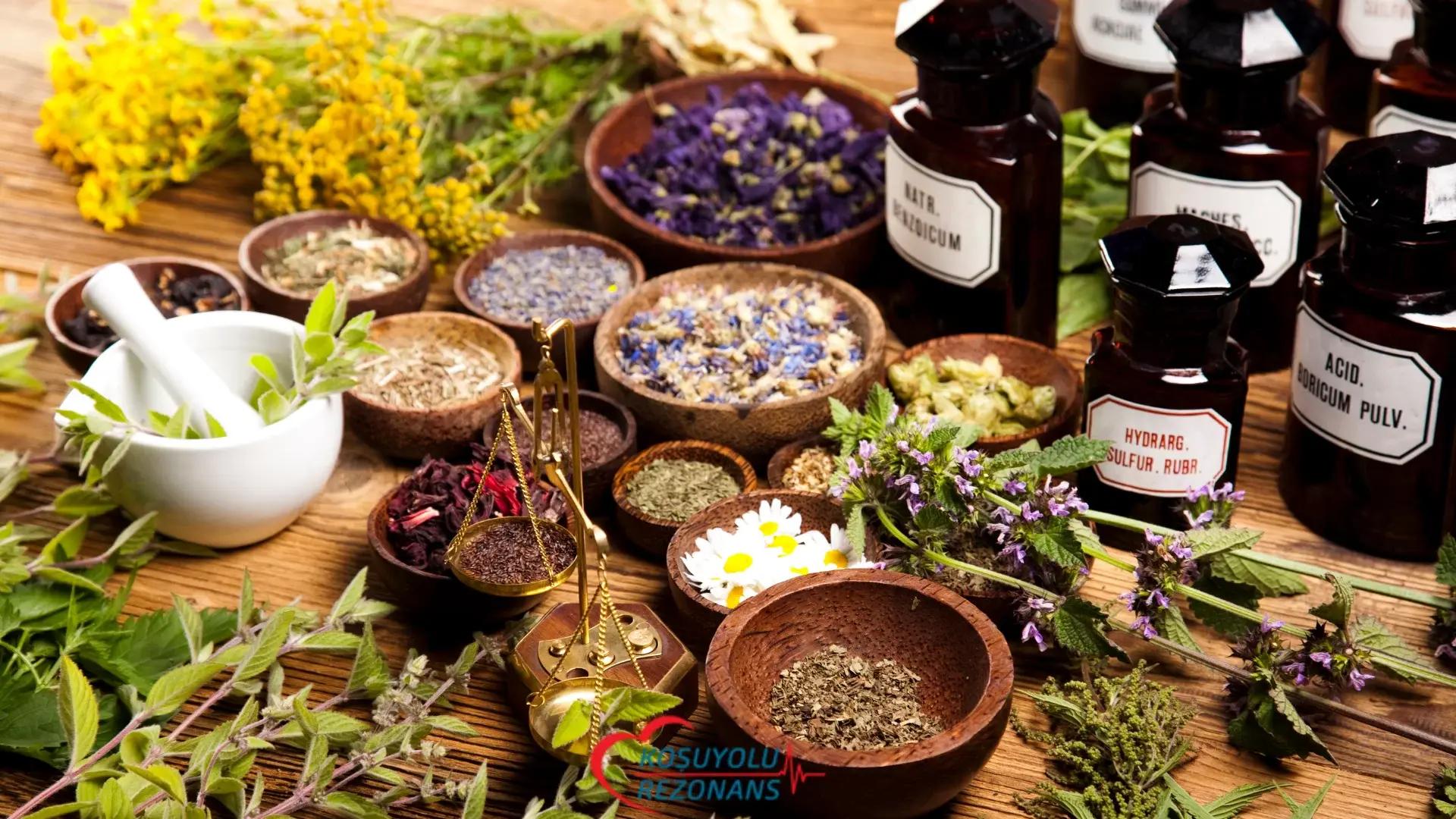 Alternatif Tıp Nedir?