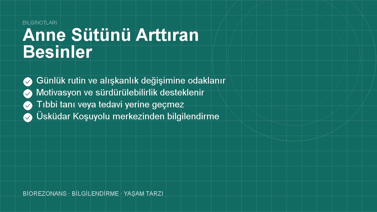 Anne Sütünü Arttıran Besinler