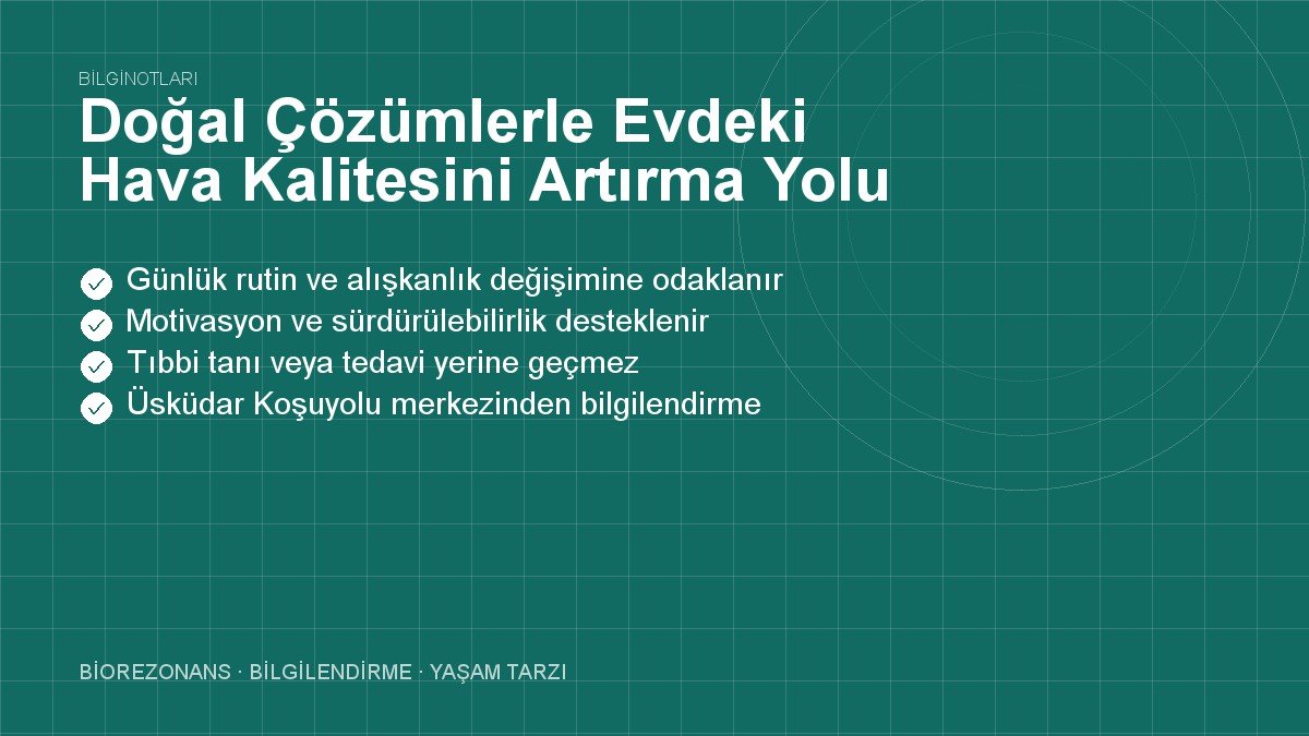 Doğal Çözümlerle Evdeki Hava Kalitesini Artırma Yolu