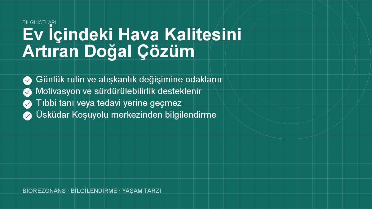 Ev İçindeki Hava Kalitesini Artıran Doğal Çözüm Önerileri