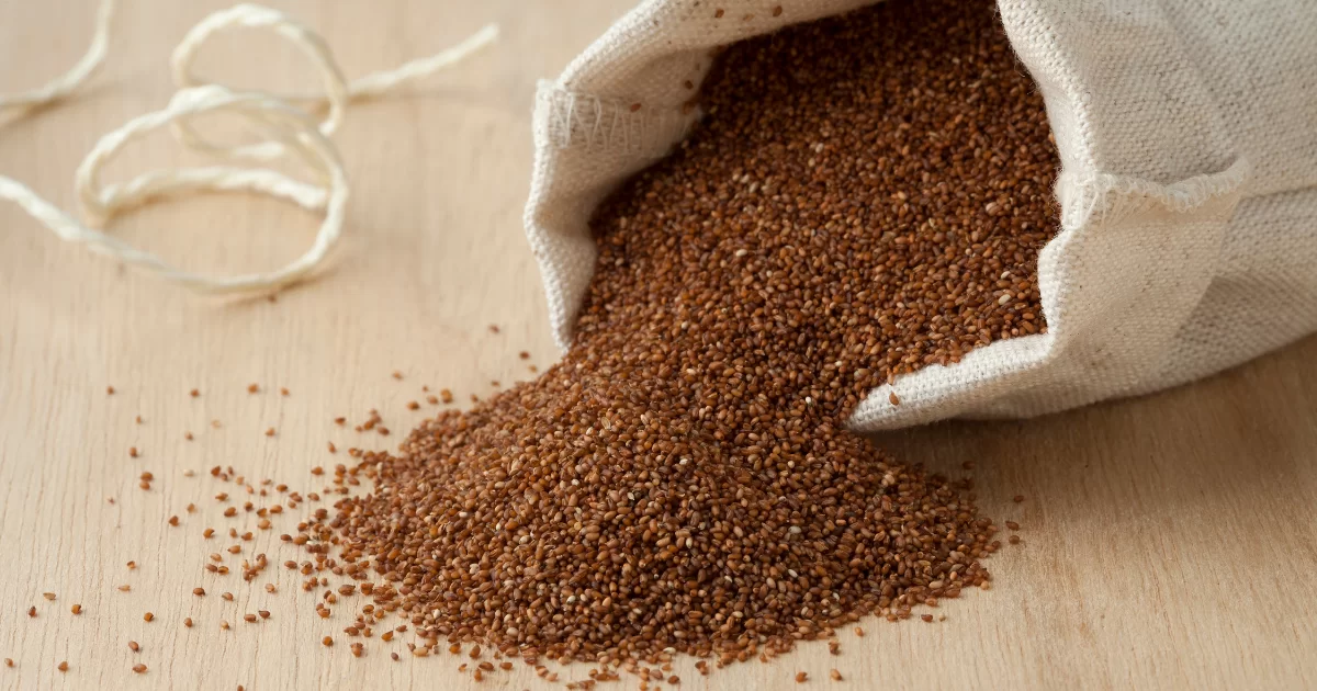 Glutensiz Tahıl Teff Tohumu
