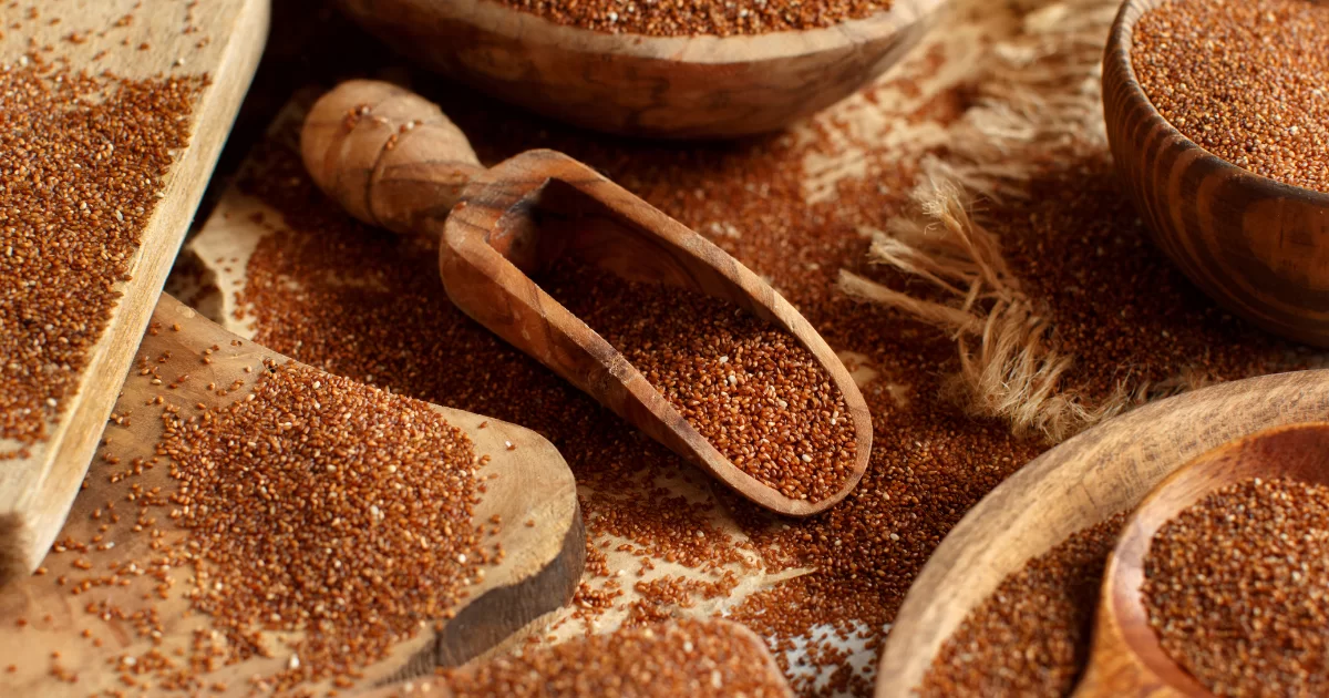 Glutensiz Tahıl Teff Tohumu