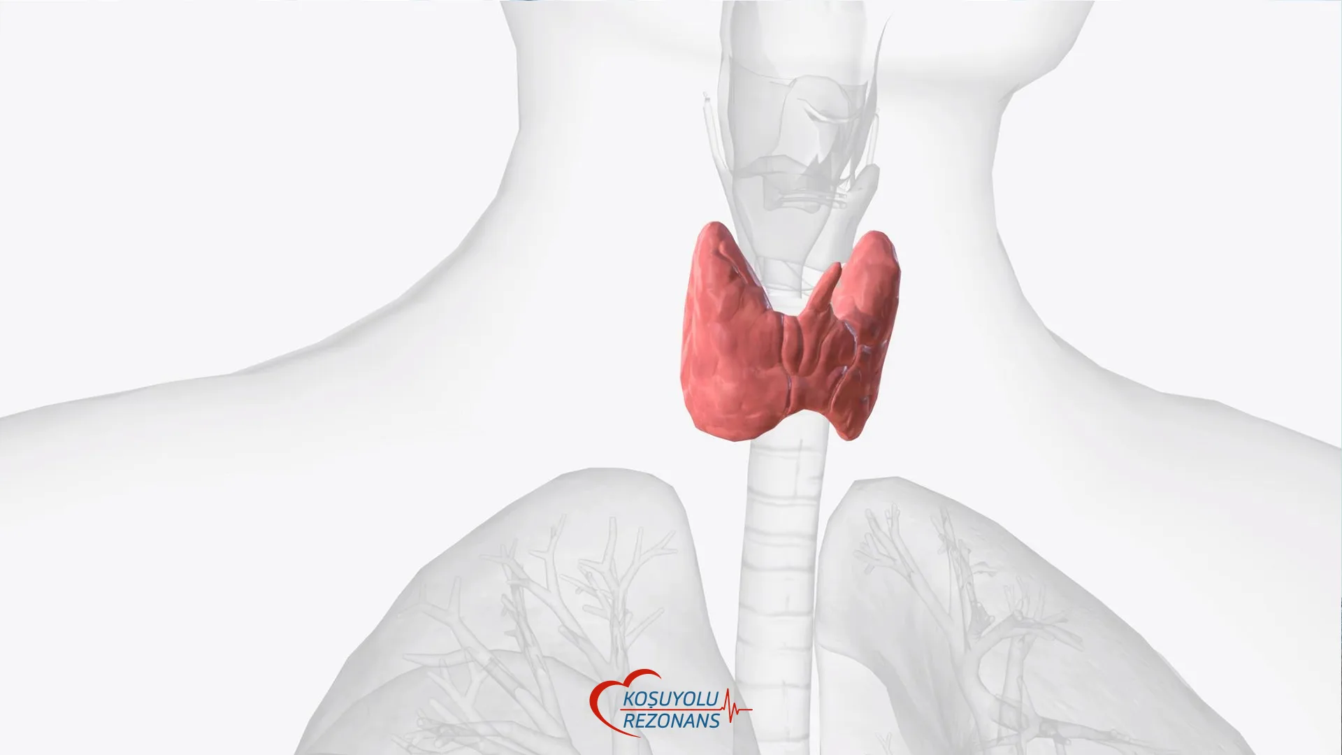 Guatr Nedir?