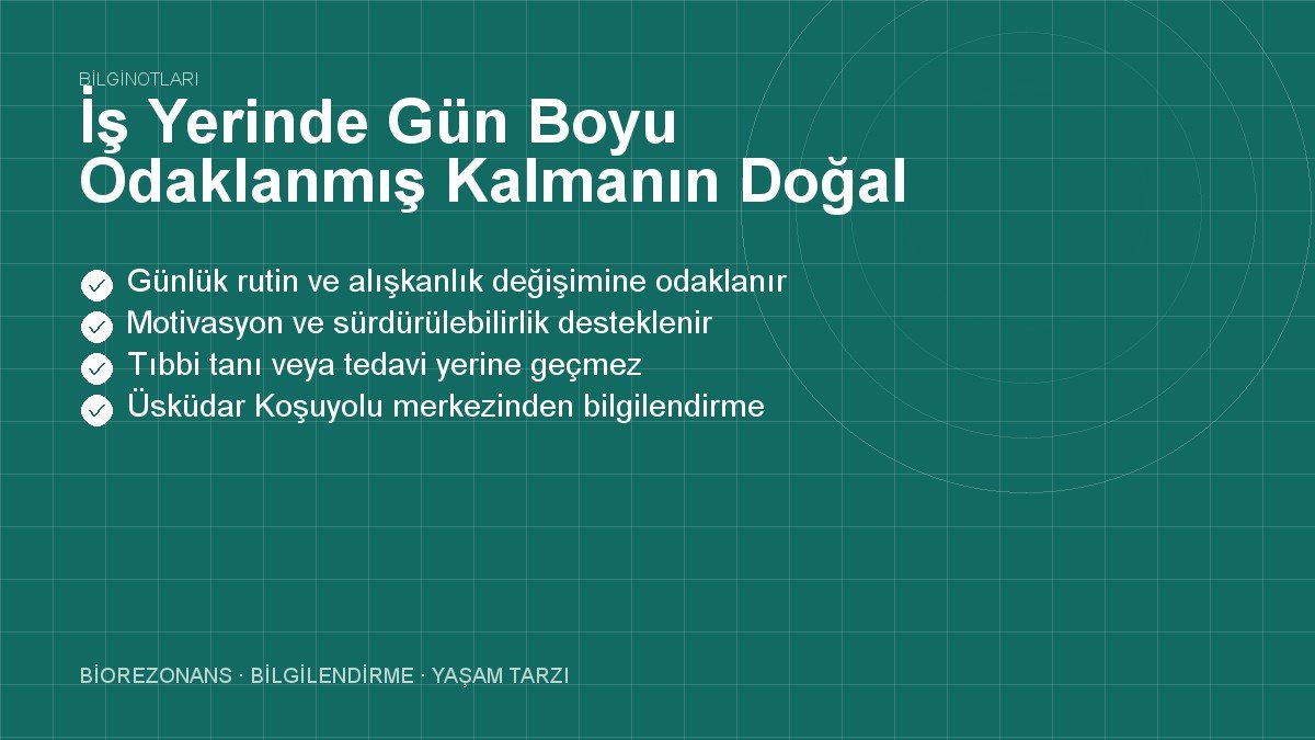 İş Yerinde Gün Boyu Odaklanmış Kalmanın Doğal Formülleri