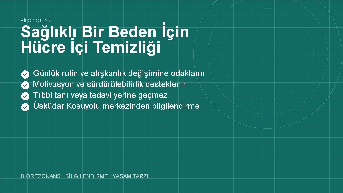 Sağlıklı Bir Beden İçin Hücre İçi Temizliği Desteklemek