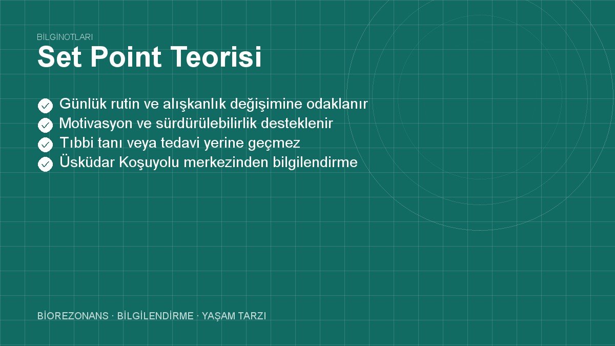Set Point Teorisi