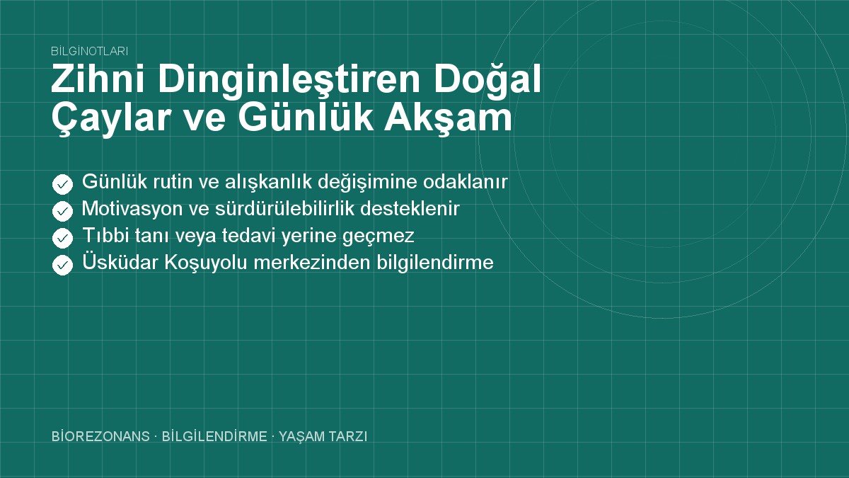 Zihni Dinginleştiren Doğal Çaylar ve Günlük Akşam Rutini