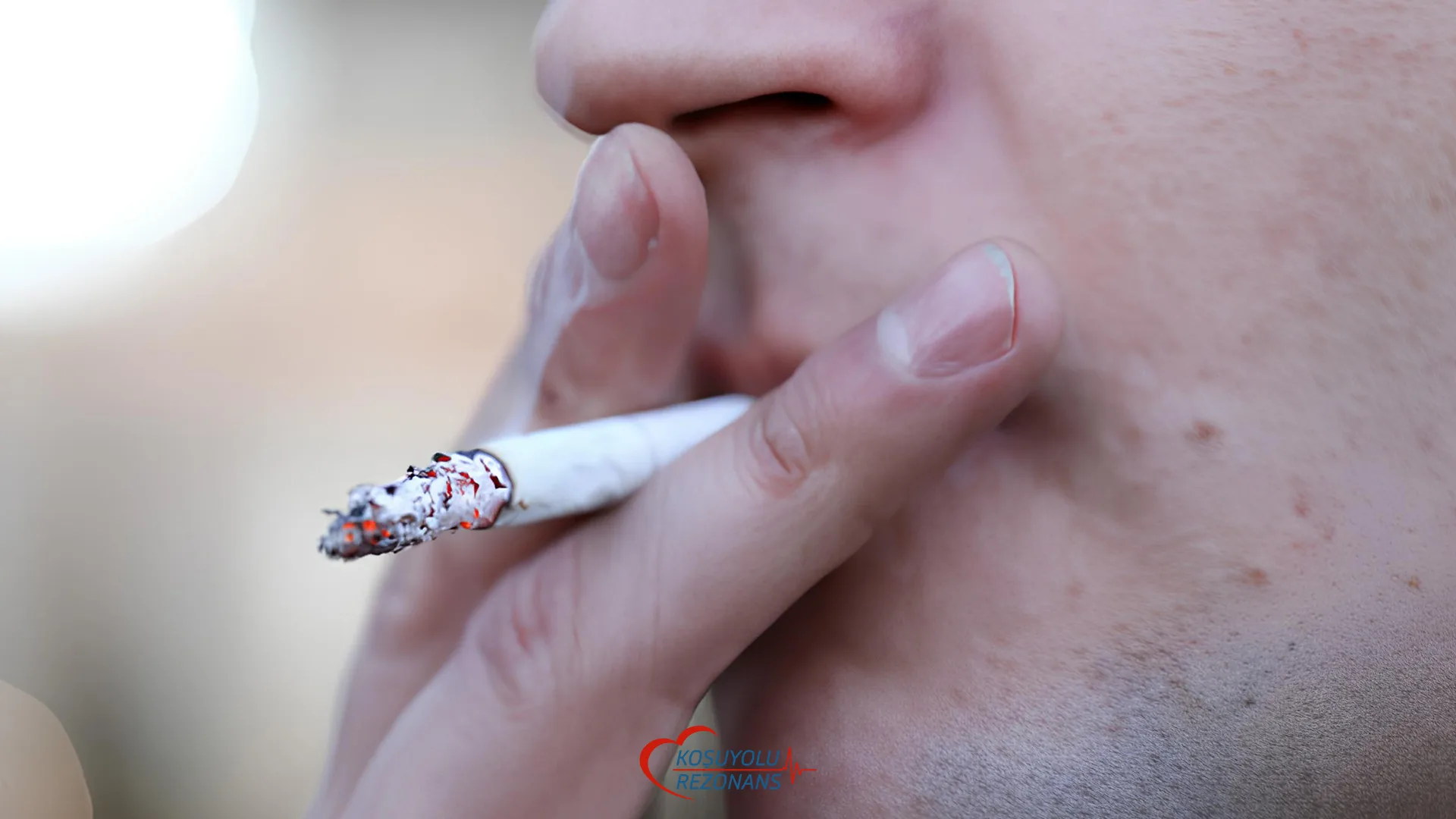 Toksik Yük Ve Toksik Yükü Azaltma Yolları